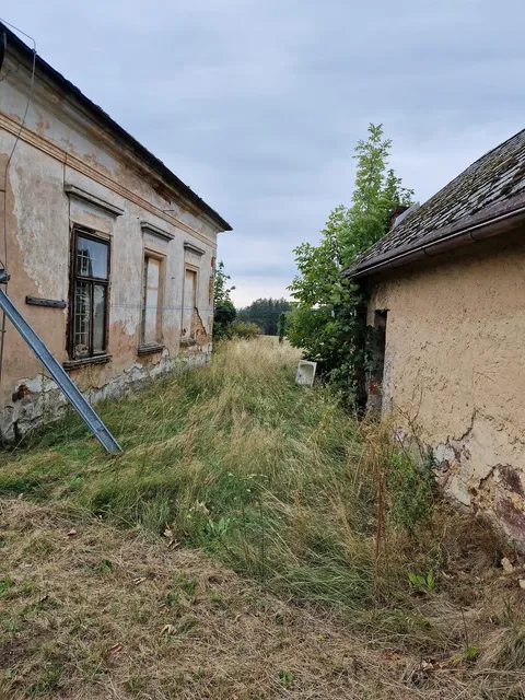Ulička mezi starým stavením a vedlejší budovou zarostlá vysokou trávou po pás