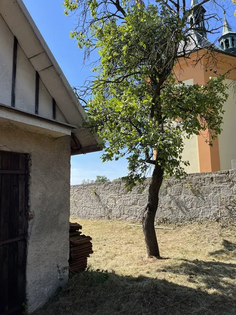 Výhled na venkovskou kapli přes posekaný trávník a strom na kraji pozemku